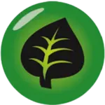 Plante
