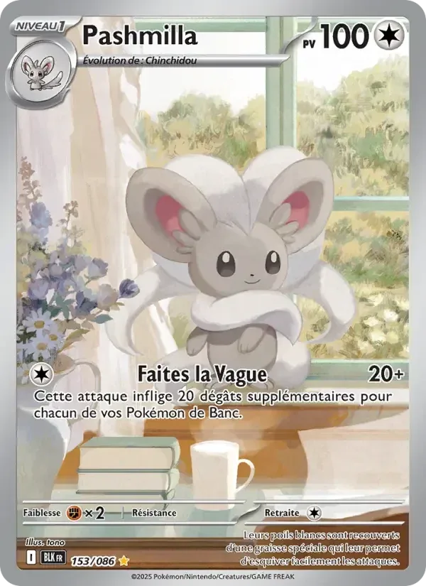 Cinccino